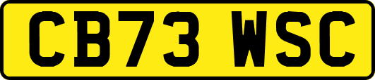 CB73WSC