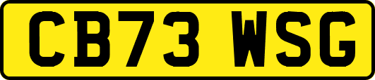 CB73WSG
