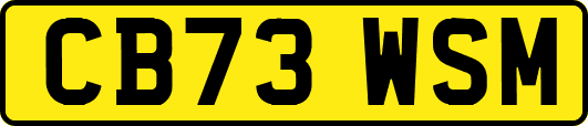 CB73WSM