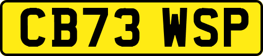 CB73WSP