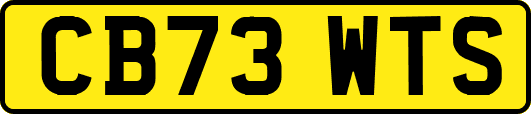 CB73WTS