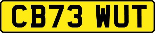 CB73WUT