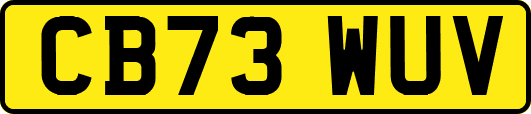 CB73WUV
