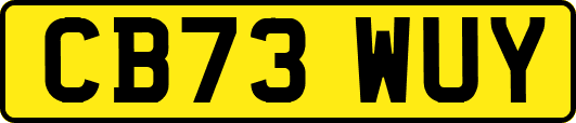CB73WUY