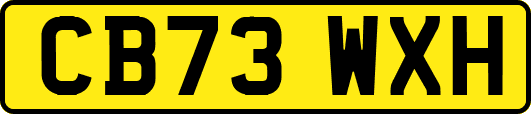 CB73WXH