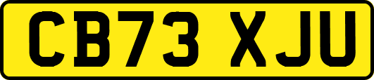CB73XJU