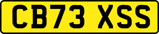 CB73XSS