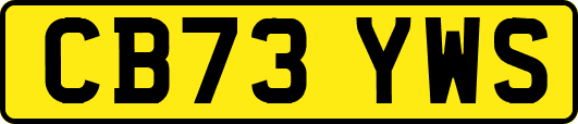 CB73YWS