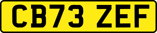CB73ZEF