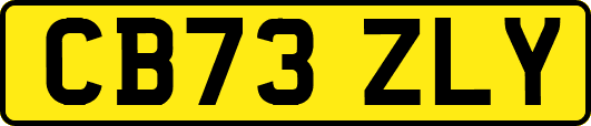 CB73ZLY