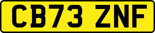 CB73ZNF