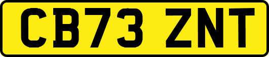 CB73ZNT