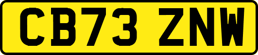 CB73ZNW