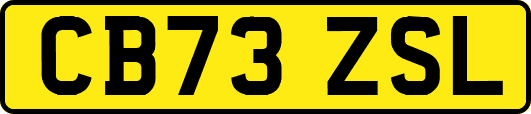 CB73ZSL