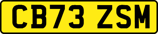 CB73ZSM