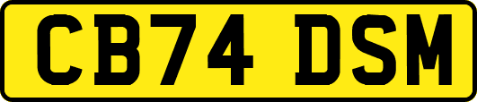 CB74DSM
