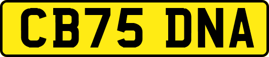 CB75DNA