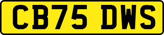 CB75DWS