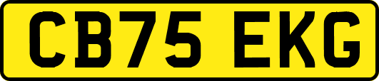 CB75EKG