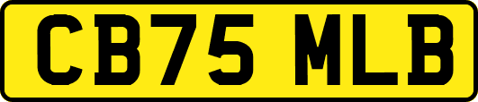 CB75MLB