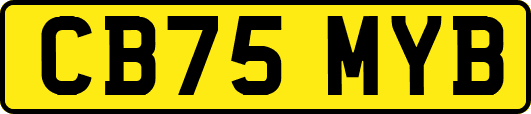 CB75MYB