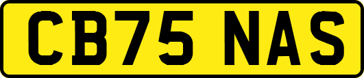 CB75NAS