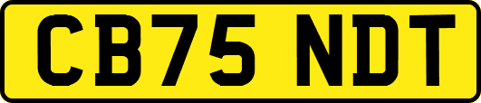 CB75NDT
