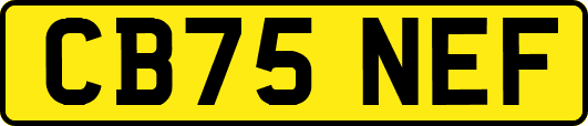CB75NEF