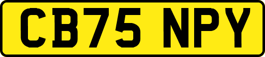 CB75NPY