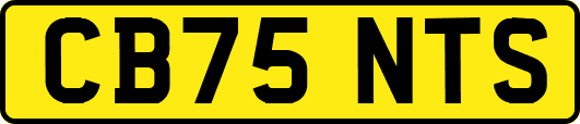 CB75NTS
