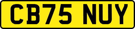 CB75NUY