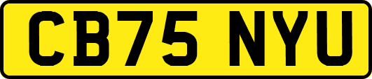CB75NYU