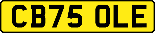 CB75OLE