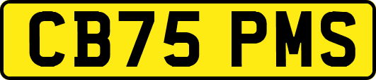 CB75PMS