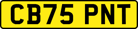 CB75PNT
