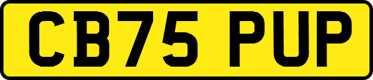 CB75PUP