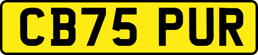 CB75PUR