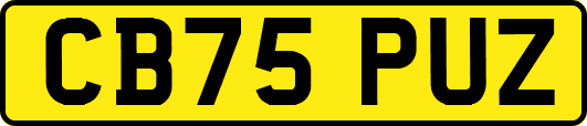 CB75PUZ