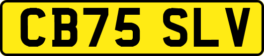CB75SLV