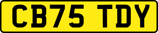 CB75TDY