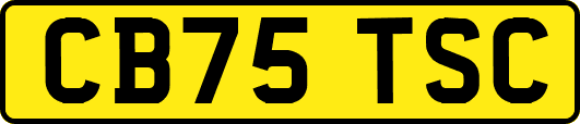 CB75TSC