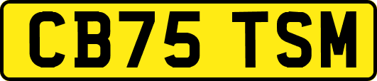 CB75TSM
