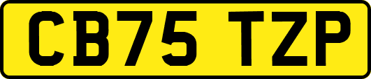 CB75TZP