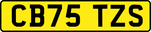 CB75TZS