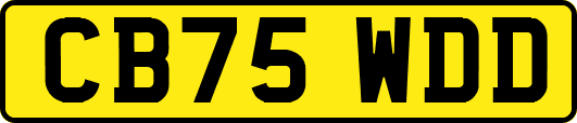 CB75WDD