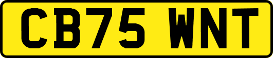 CB75WNT
