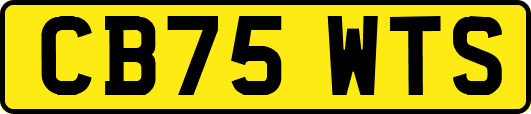 CB75WTS