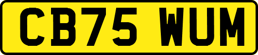 CB75WUM