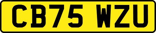 CB75WZU