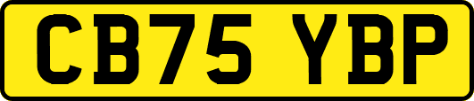 CB75YBP